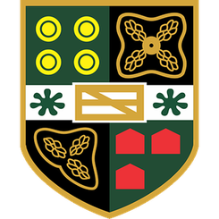耶特城
